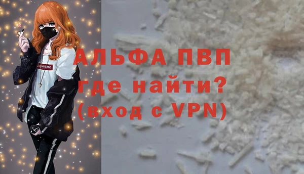 амф Вяземский