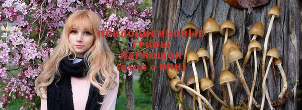 амф Вяземский