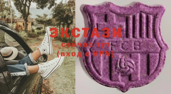 амф Вяземский