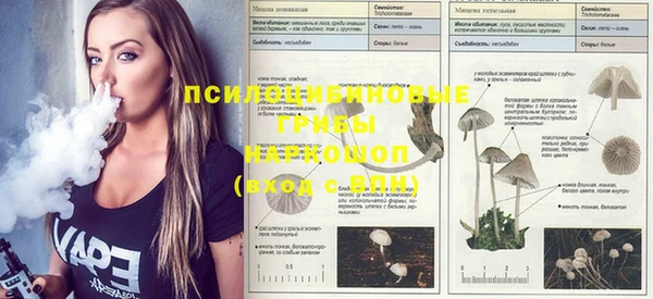 каннабис Вязники