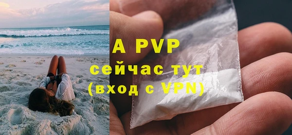 амф Вяземский