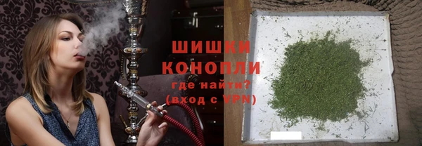 амф Вяземский