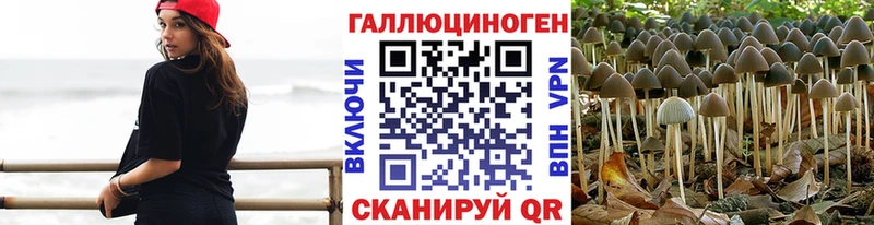 Галлюциногенные грибы GOLDEN TEACHER  как найти   Чусовой 
